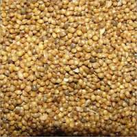 Fresh Millet