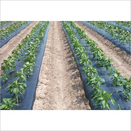 Black Agricultural Mulching Sheets