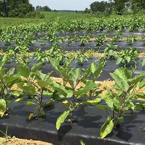 Ldpe Mulching Film - Color: Black