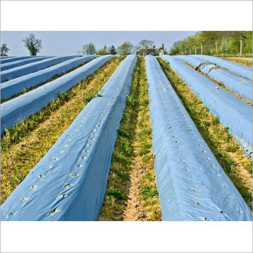 LDPE Agro Polythene Film
