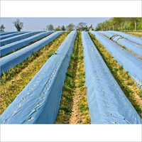 Ldpe  Sheeet Film - Color: Blue