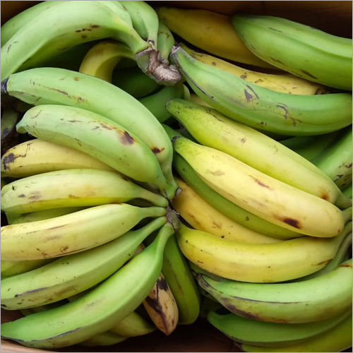 Fresh Banana By Mauli Exports And Imports