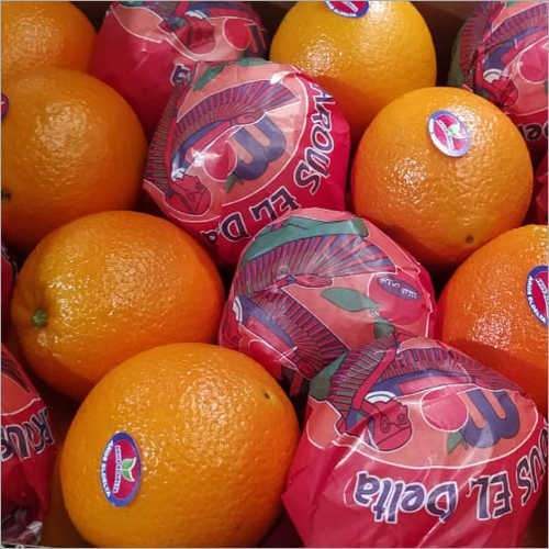 Fresh Orange By Mauli Exports And Imports