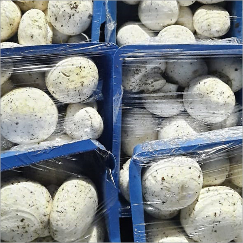 White Mushroom