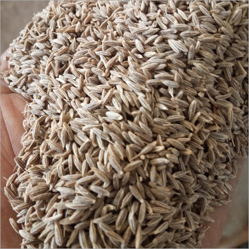 Cumin Seeds