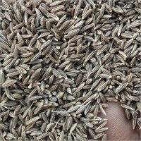 Dried Cumin Seed