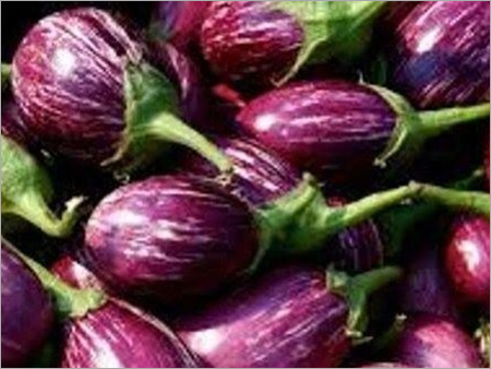 Brinjal By ADARA EXPORTS PRIVATE LIMITED