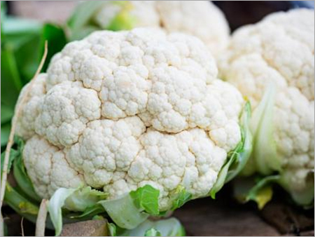 Cauliflower By ADARA EXPORTS PRIVATE LIMITED