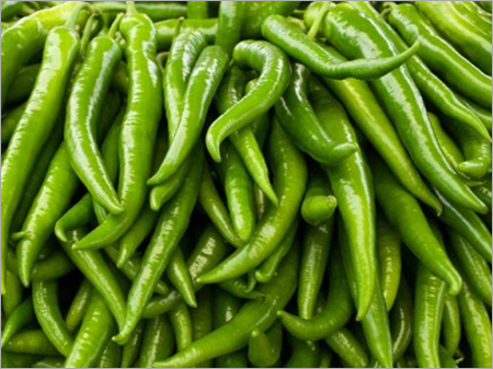 Green Chilli By ADARA EXPORTS PRIVATE LIMITED