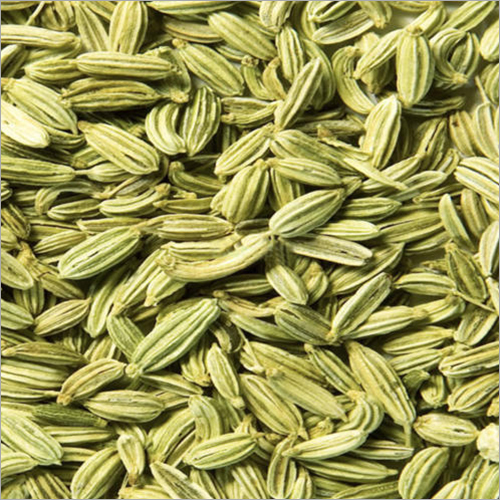 Fennel Seed By ESSENS EXPORTS