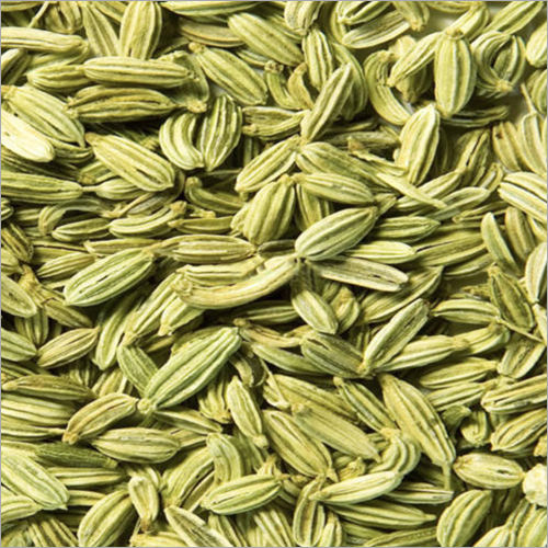 Fennel Seed