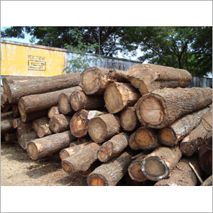 Long Lasting Round Silver Oak Wood Log