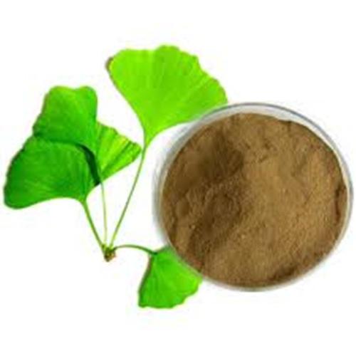 Gingko Biloba Extract