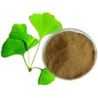 Gingko Biloba Extract