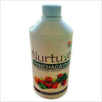 Fruits And Vegetables Panchagavya