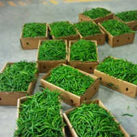 Green Chillies