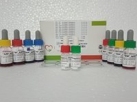 Stained Salmonella Antigen Sets