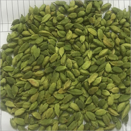 7 MM (MUMBAI)