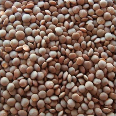 Whole Masoor Dal