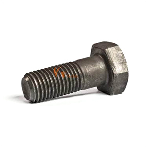Stainless Steel Heavy Hex Head Bolts