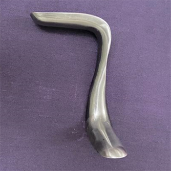 Modified Sims Speculum By BABU'S INNOVATIVE GYNECOLOGICAL INSTRUMENTS