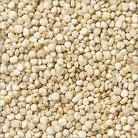 Patel Quinoa Seeds