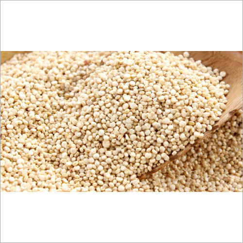 India Organic Quinoa Seeds