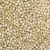 Premium Quinoa Seeds