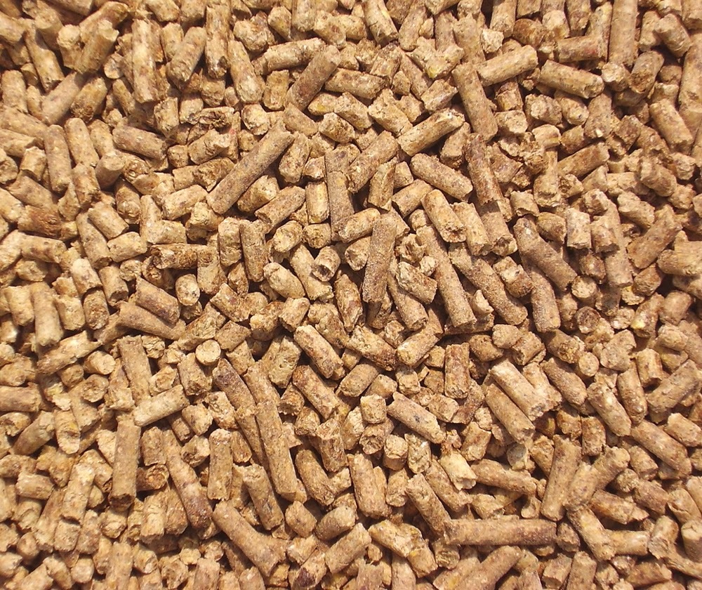 Poultry Feed