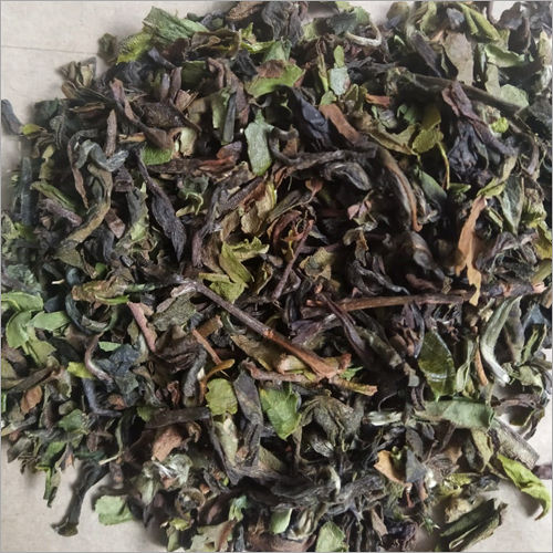 Green Dry Leaf Tea