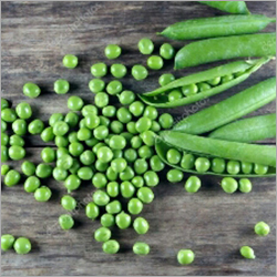 Fresh Peas Moisture (%): 63.5