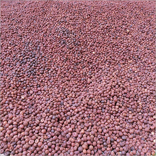 Natural Rashi Areca Nut