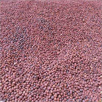 Natural Rashi Areca Nut