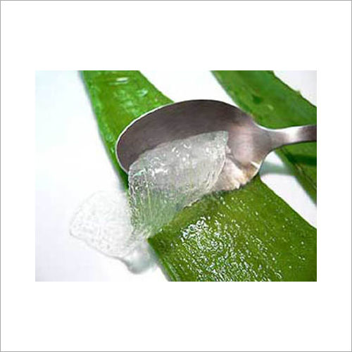 Botanical Product Aloe Vera Gel Raw