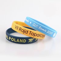 Any Pvc Wristband