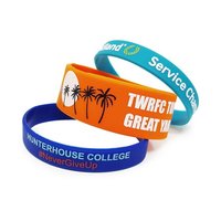 Any Promotional Wristband