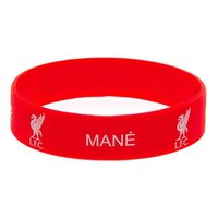 Any Customized Wristband
