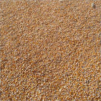 Natural Maize