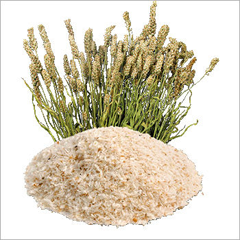 Psyllium Husk