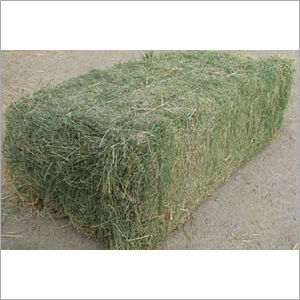 Alfalfa Hay - Efficacy: Feed Preservatives