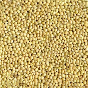 Green Millet Seeds By MS LUXURY HAIR DISTRIBUTION LLC