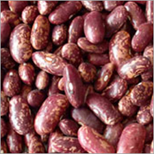 Purple Speckled Kidney Beans By MS LUXURY HAIR DISTRIBUTION LLC