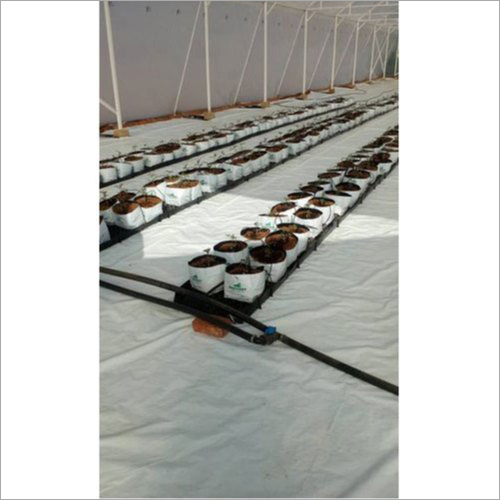 Cocopeat Open Top Grow Bag