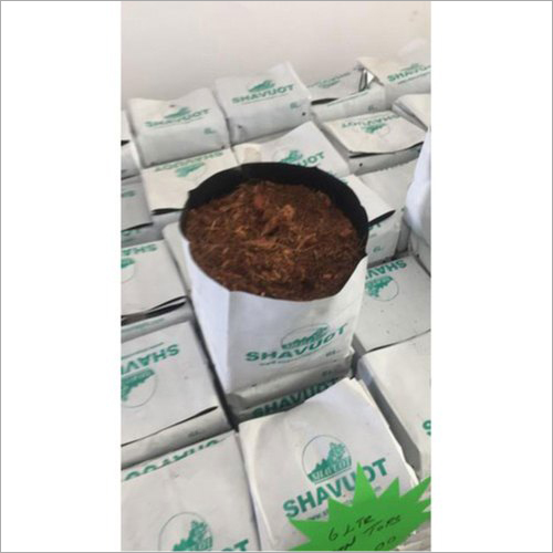 Coir Fiber Open Top Grow Bag