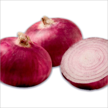 Nasik Prime Onion Seeds