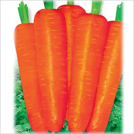 Organic Deepred Prime Carrot Seeds