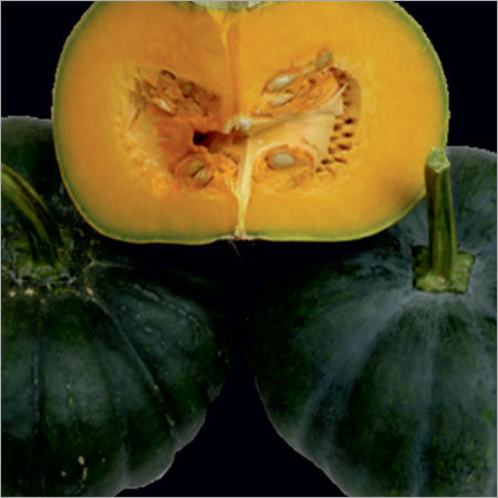 RAG-555 Prime Pumpkin Seeds
