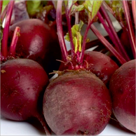 Fi- Star Red Prime Beetroot Seeds - Cultivation Type: Organic