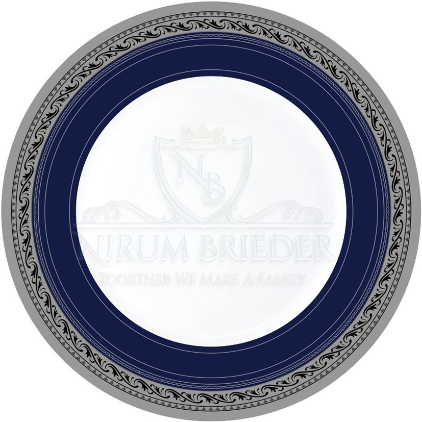 Round Dinner Plate