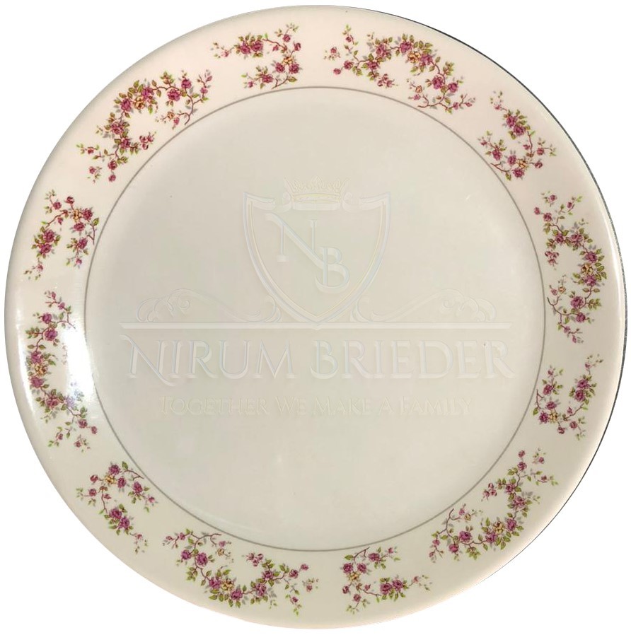 Round Dinner Plate